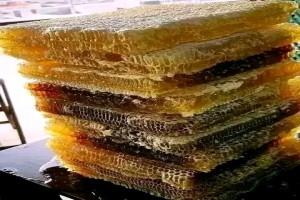 Natural honey from Zambia