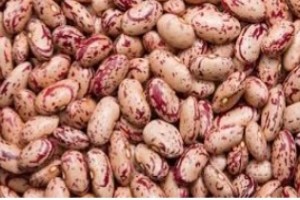 Sugar beans from Zimbabwe