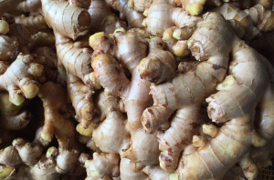 Fresh Ginger from Zimbabwe
