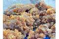 Beeyo Frankincense Resin — Boswellia sacra / carterii, Somali Olibanum, Select and Standard Grades thumbnail 3