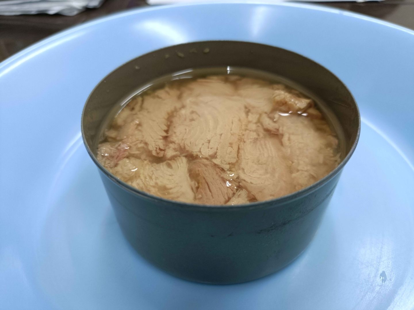 Canned Tuna from Indonesia