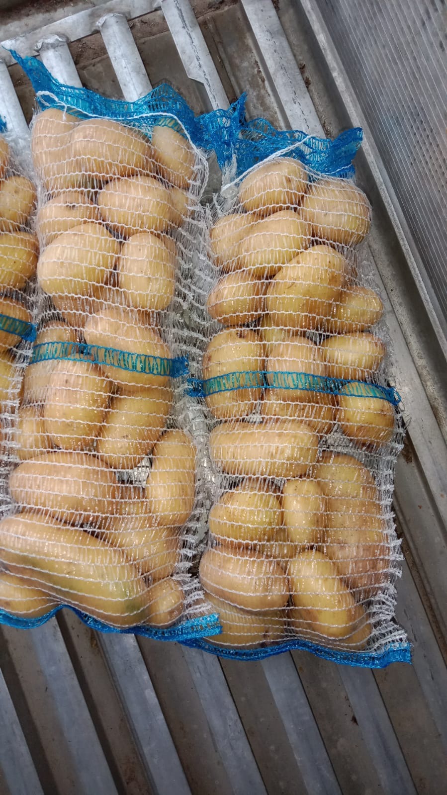 Patata from Pakistan