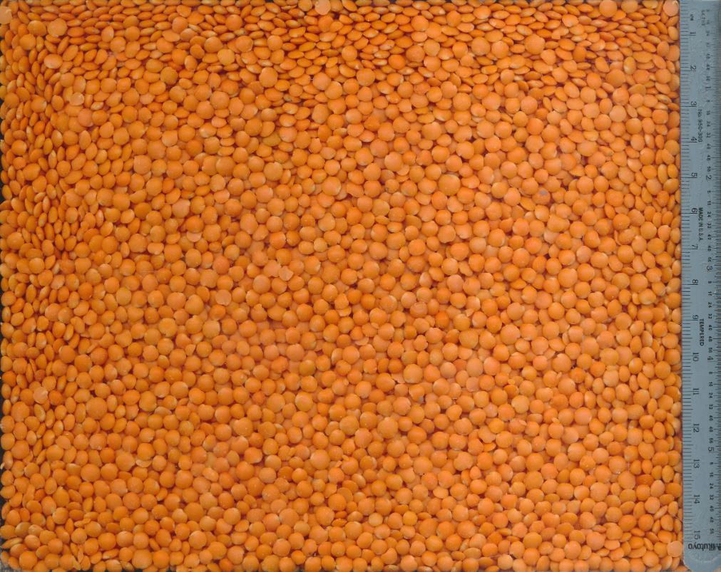 Lenticchie secche from Canada