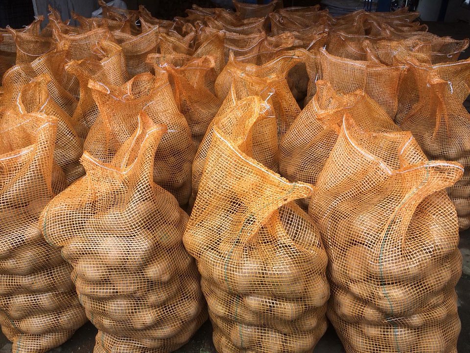 Fresh Potatoes, Indonesian, Grade A from Indonesia