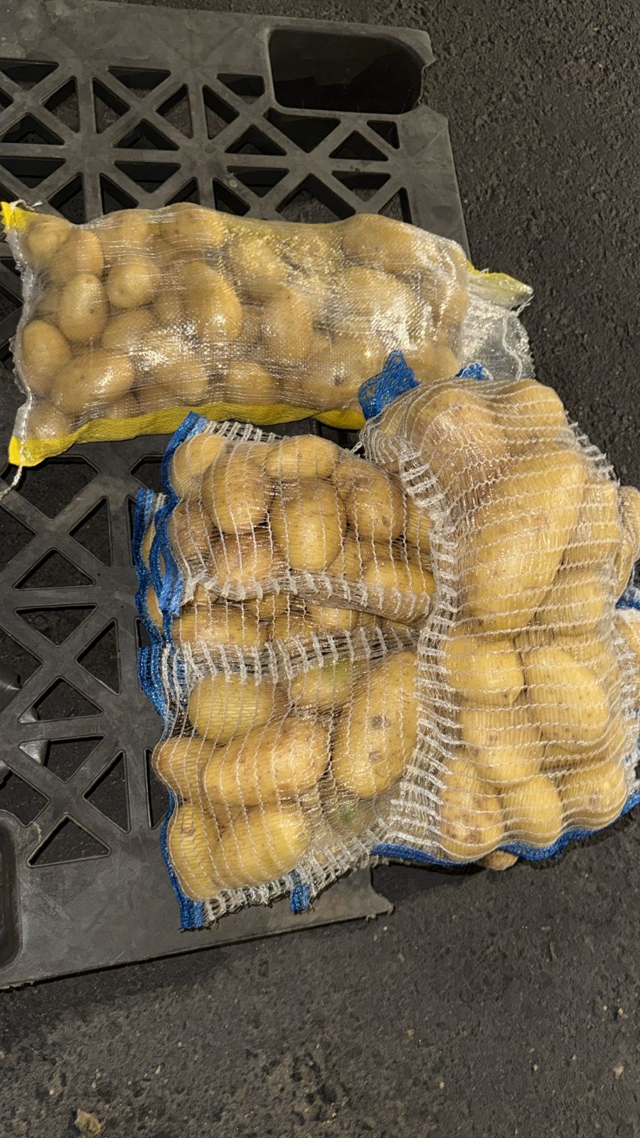 Fresh Potato from Pakistan
