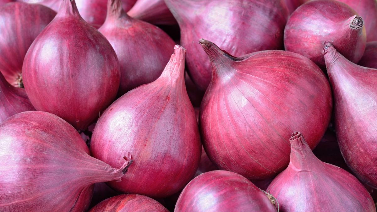 Oignons FRAIS from Inde