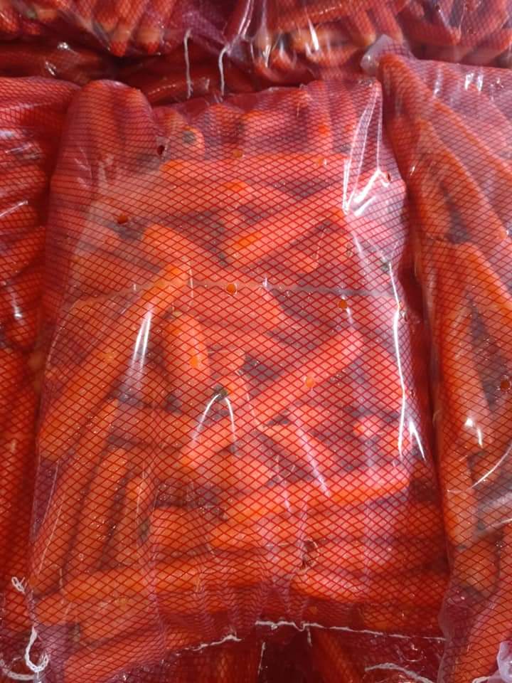 Carota from Egitto