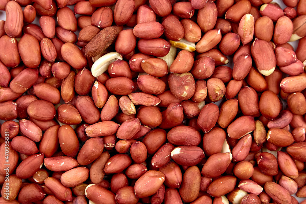Amendoim / Groundnut from Índia