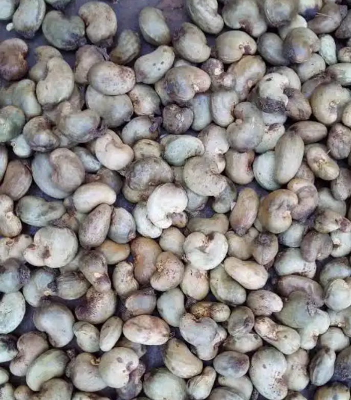 Vendita di anacardi from Nigeria
