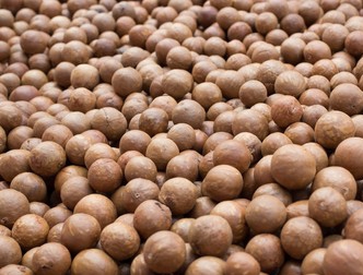 Macadamianoten from Kenia