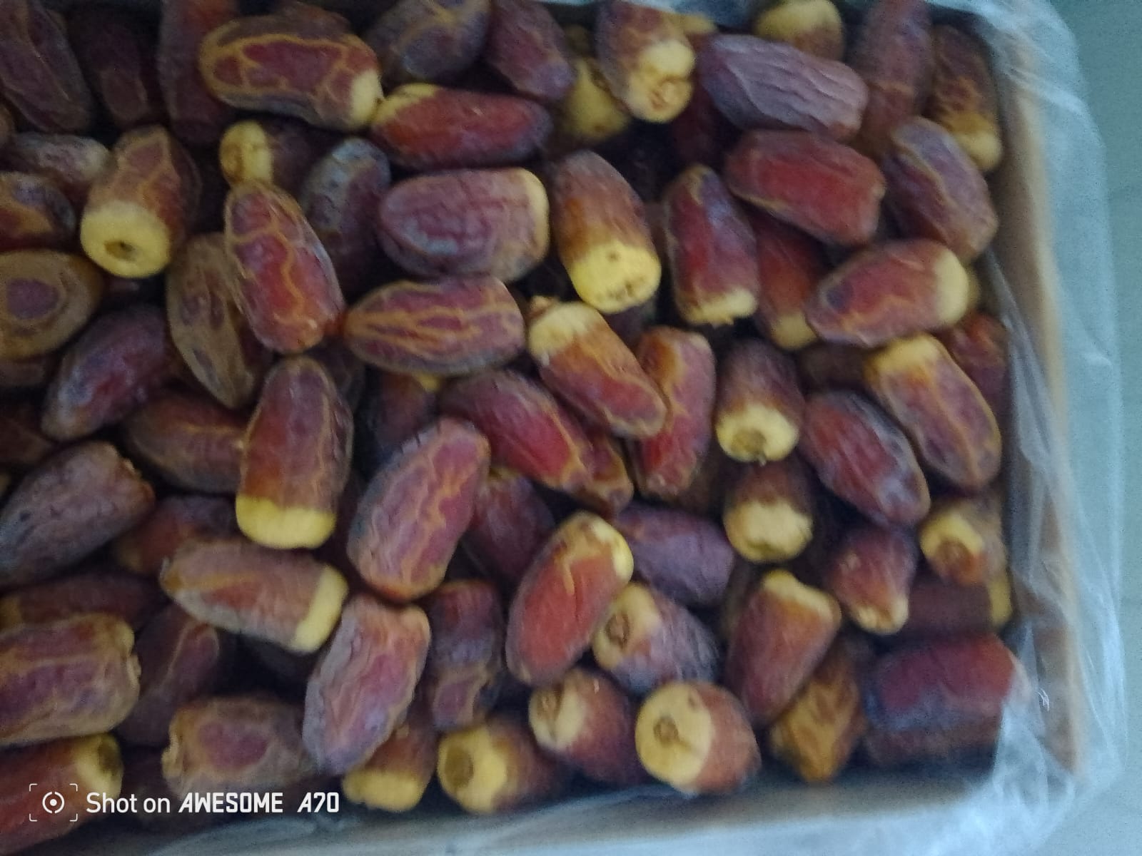 Dates from Saudi Arabia