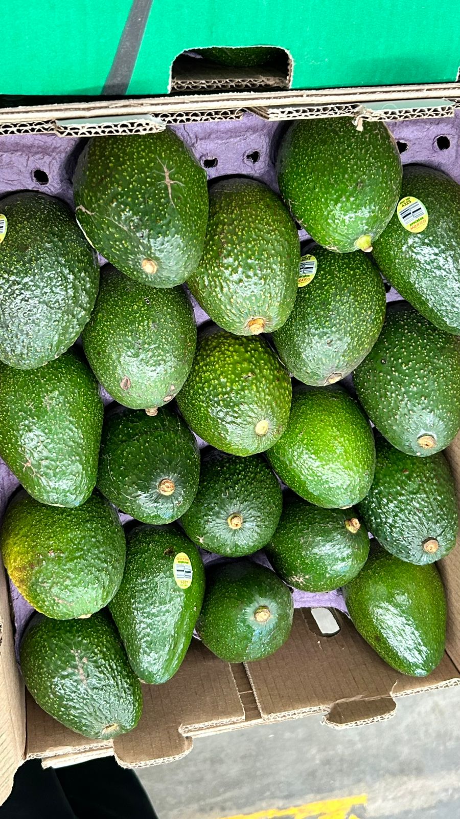 avocados from Mexico