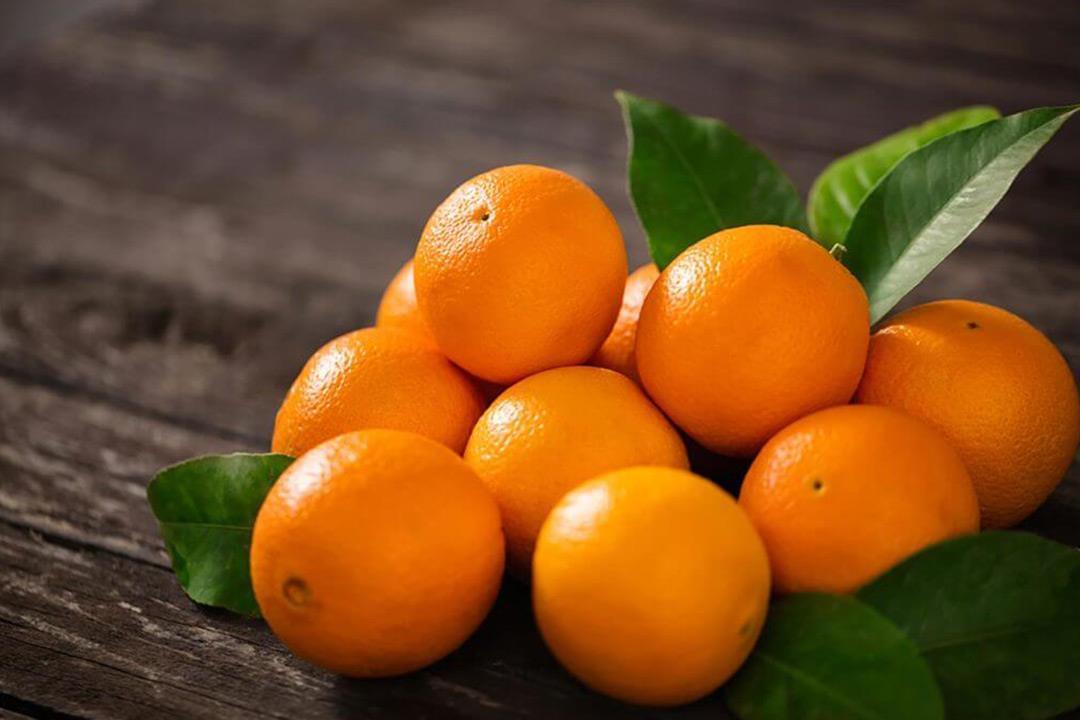 orange First class from Egypt