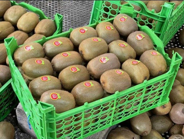 Frische Kiwi from Iran