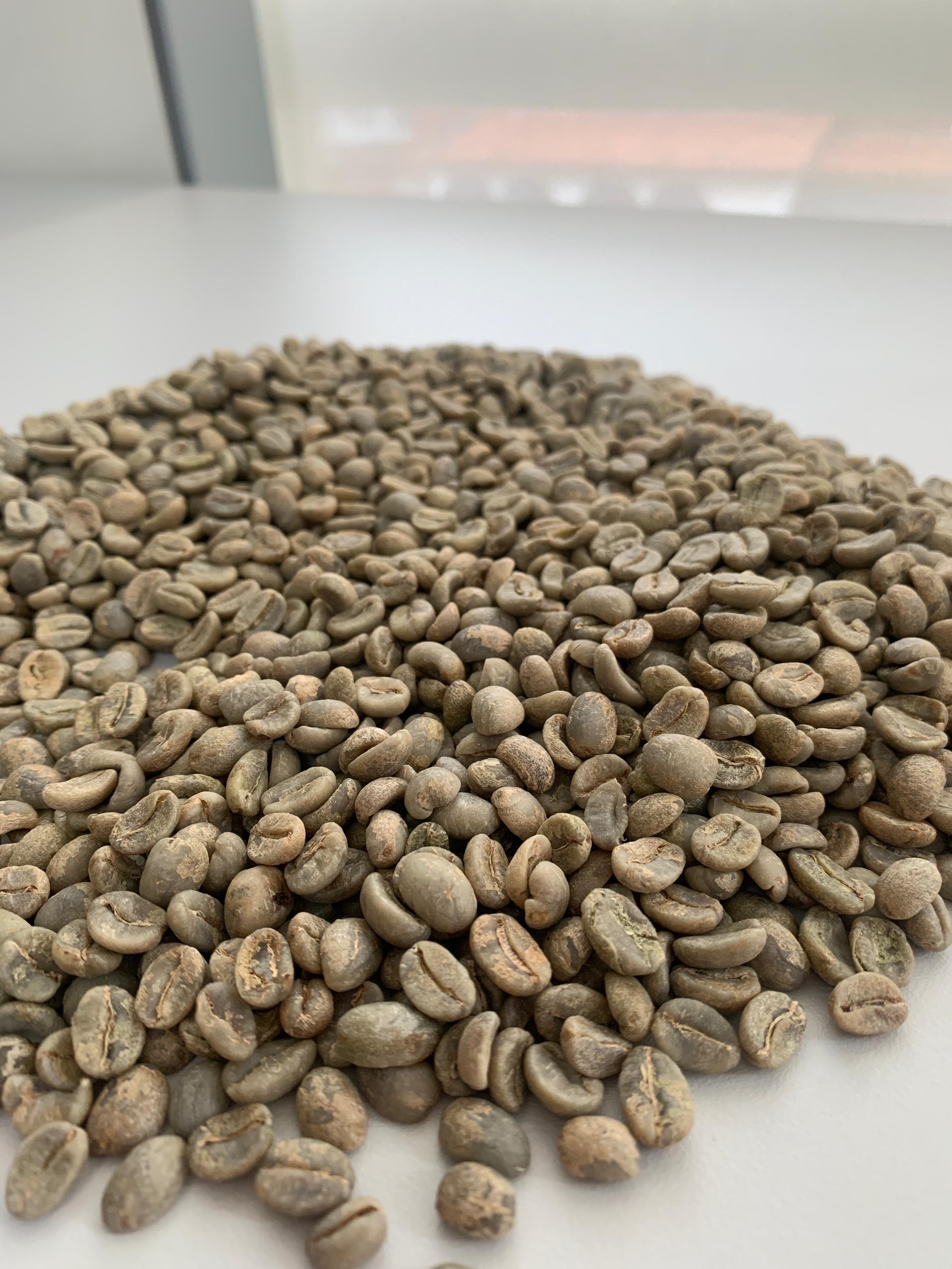 Green Coffee Beans 100% Arábico from ---