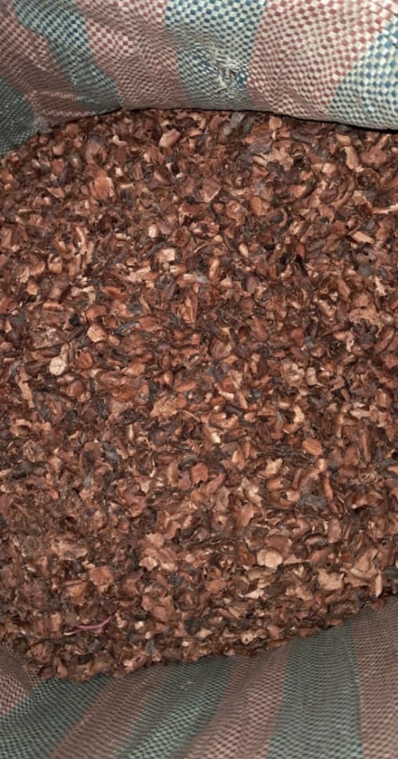 Bucce di cacao from Costa d'Avorio