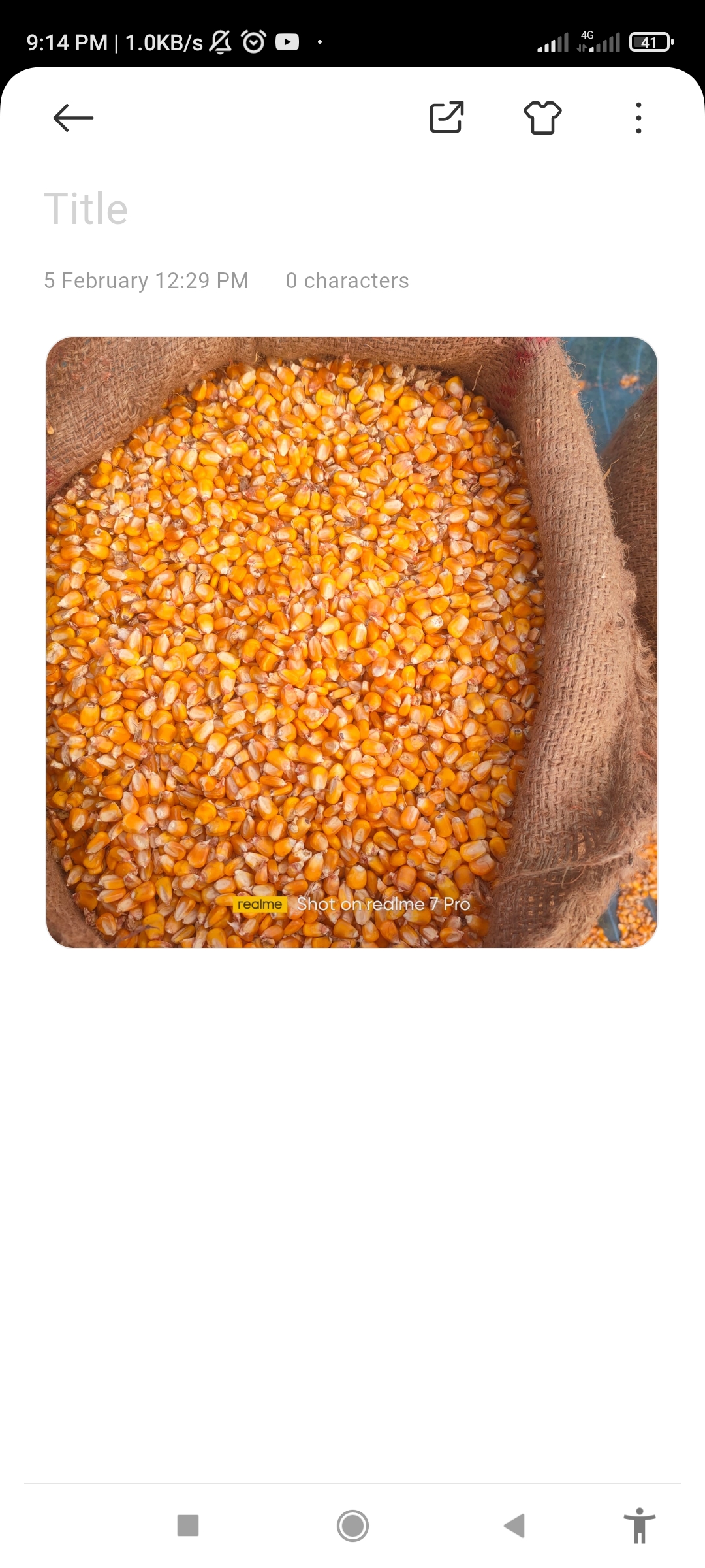 Noix de renard, maïs, riz, feuilles de thé, produits laitiers, épices, fruits secs from Inde