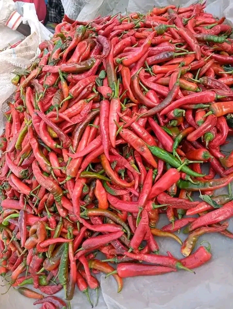 Chilli pepper, red hot pepper garlic from Nigeria