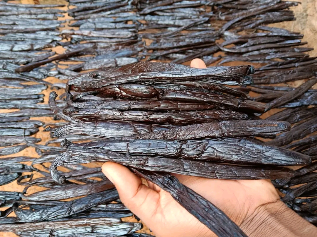 Laski wanili from Uganda