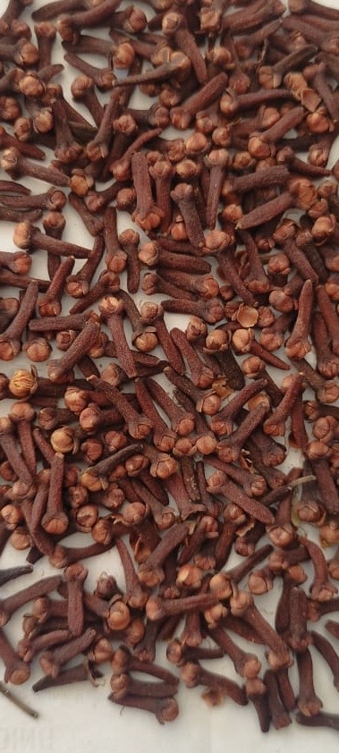 rajapaksha produce from Sri Lanka