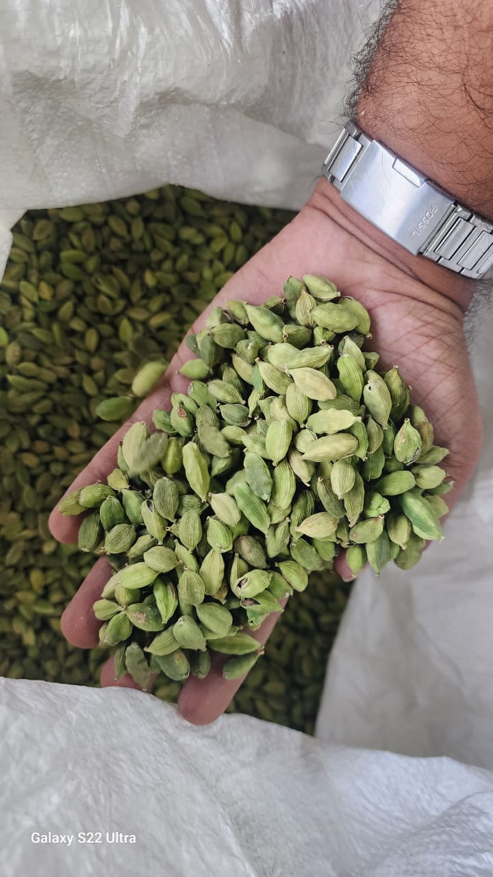Green Cardamom 8 MM from British Indian Ocean Territory