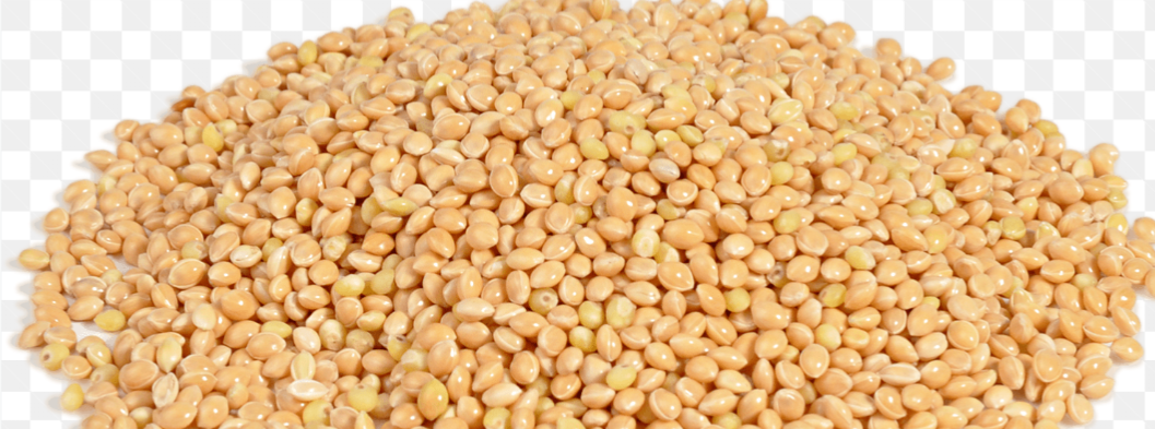Miglio from Ucraina