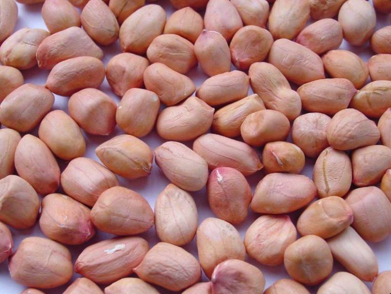 PEANUTS from British Indian Ocean Territory