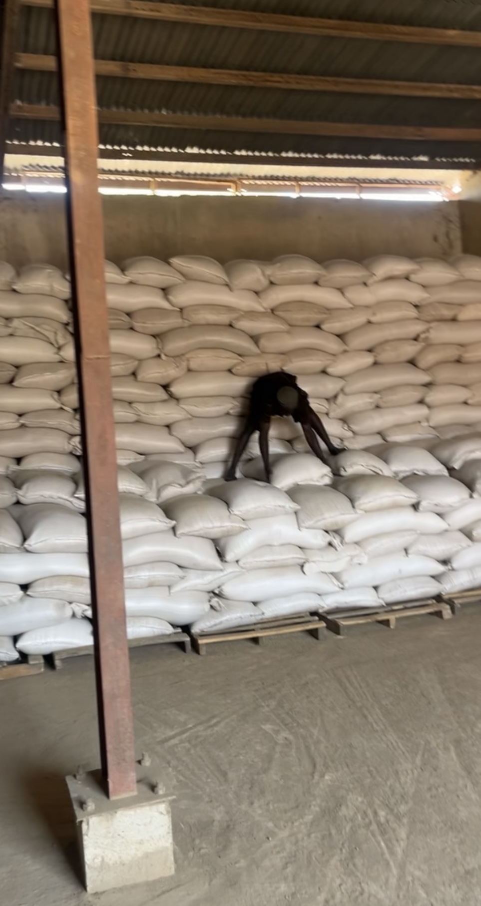 Nigerian sesame seeds from Nigeria