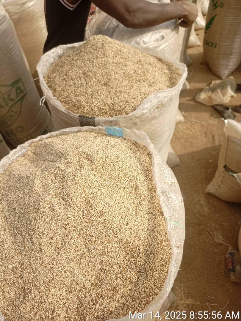 Semillas de sésamo from Nigeria