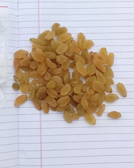 RAISINS [ DRY GRAPES ] from India
