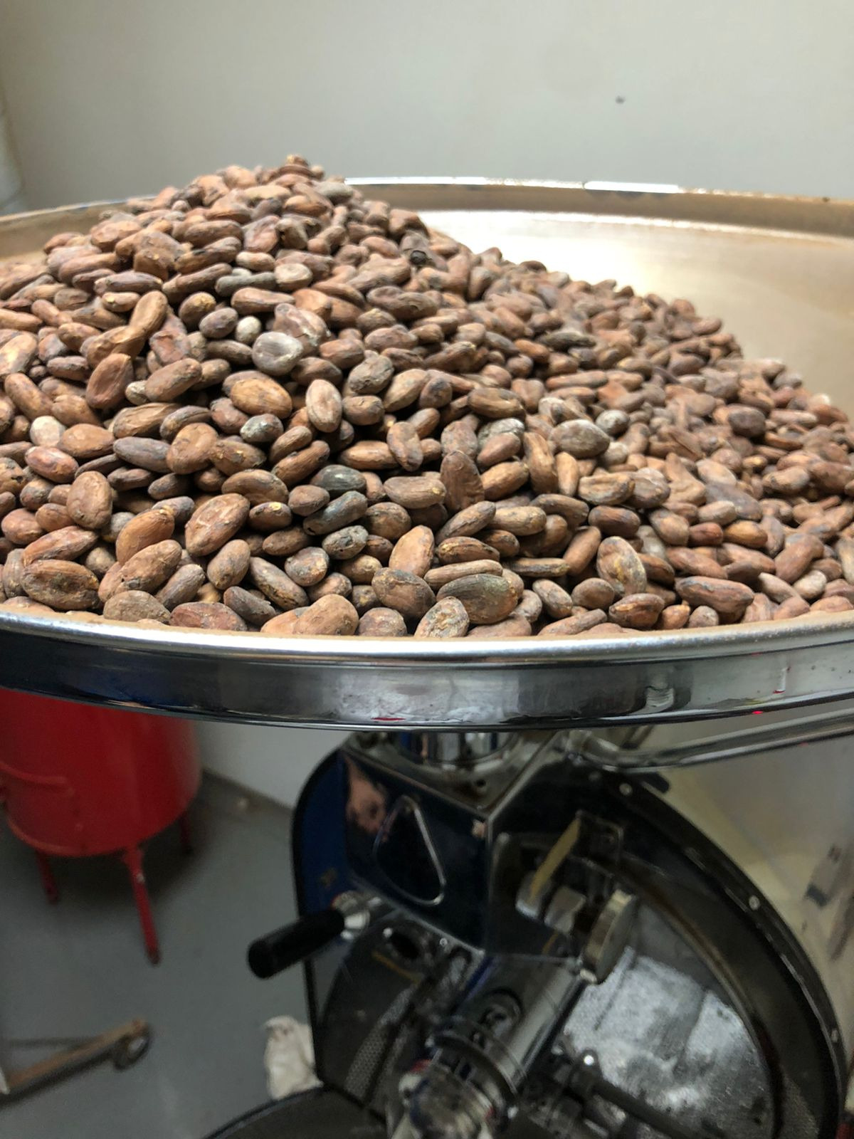 100% Organic Cocoa Beans from Madagascar