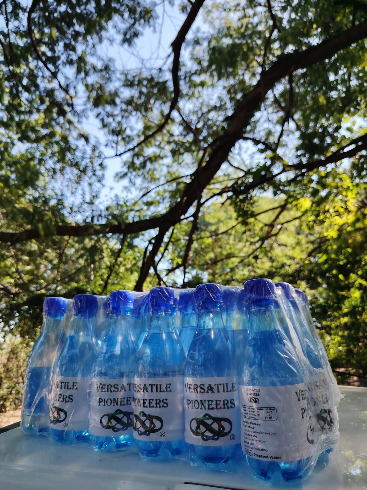 Versatile Pioneers - Air Minum Botol 500ml/16.91Oz (Paket 24) from Afrika Selatan