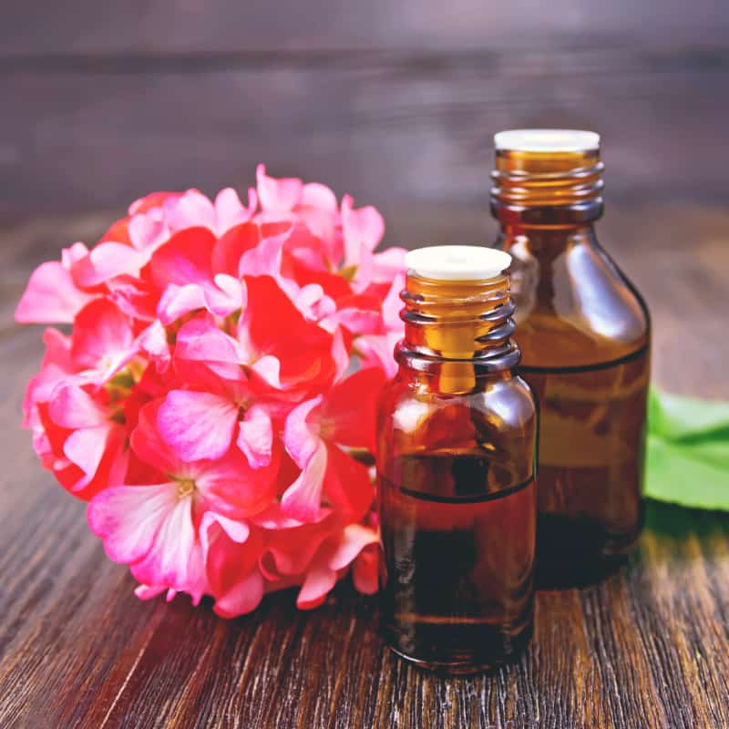 Geranium oil from Egypt