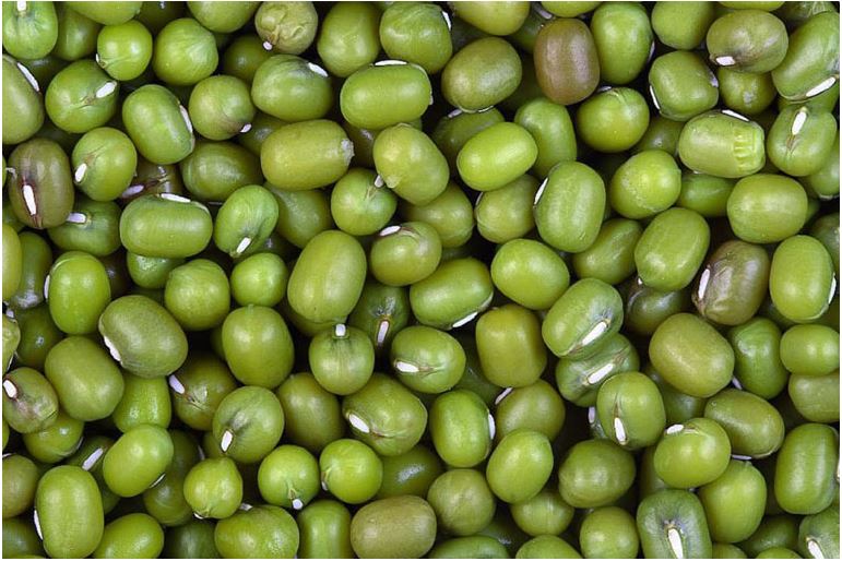 Haricots mung du Myanmar from Myanmar