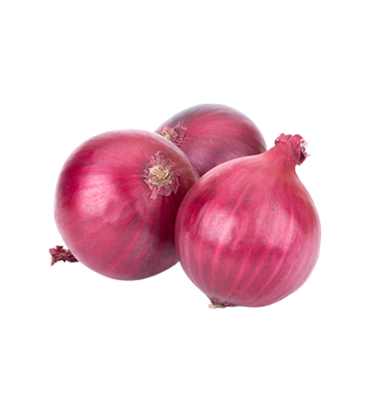 Fresh ethiopian Red Onions from ethiopia from Ethiopia