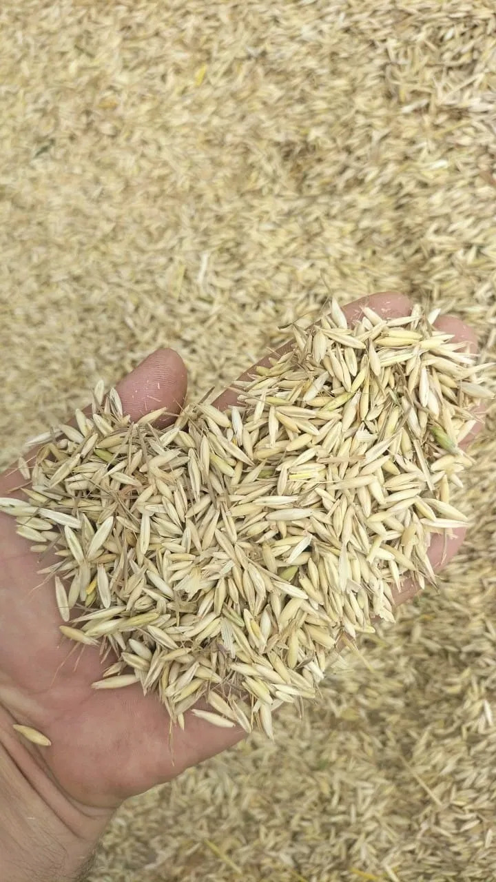 OATS from Romania