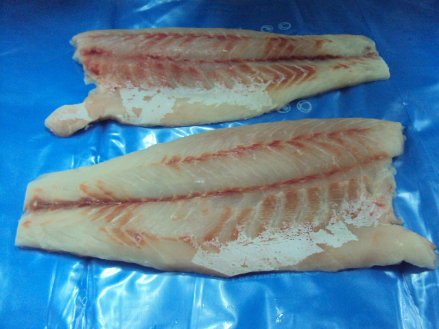 FROZEN NILE PERCH FILLETS from Tanzania