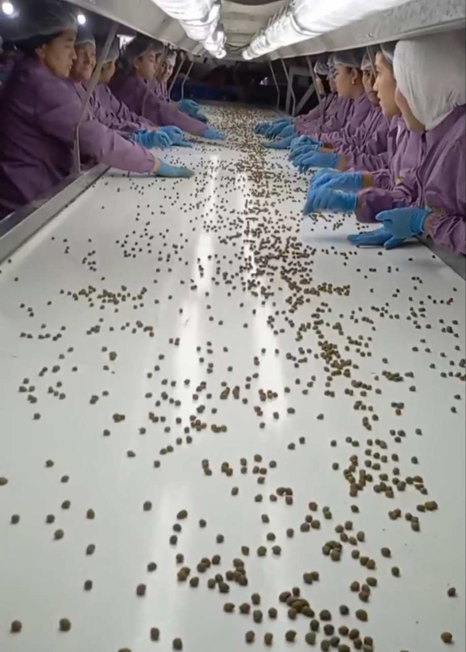 capers from Uzbekistan