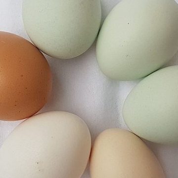 Egg consumption in Sri Lanka meets self-sufficiency