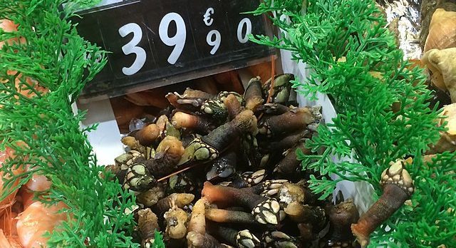 Portugal Food Market: Government signs contracts with Euroteste and Consulai to track prices