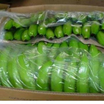 Export bananas from Latin America encounter low retail prices in Europe despite certification
