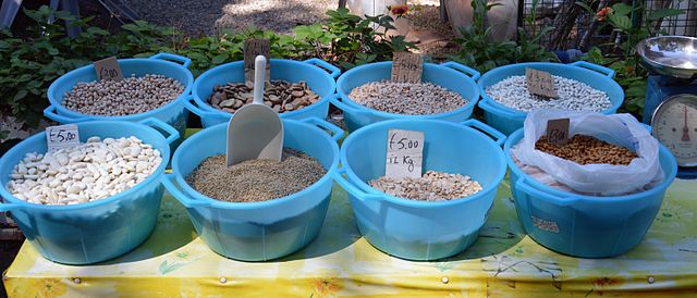 Italy’s Legumes Select: innovate cultivation techniques to encourage the development of the short supply chain and the conversion to organic, in Campania