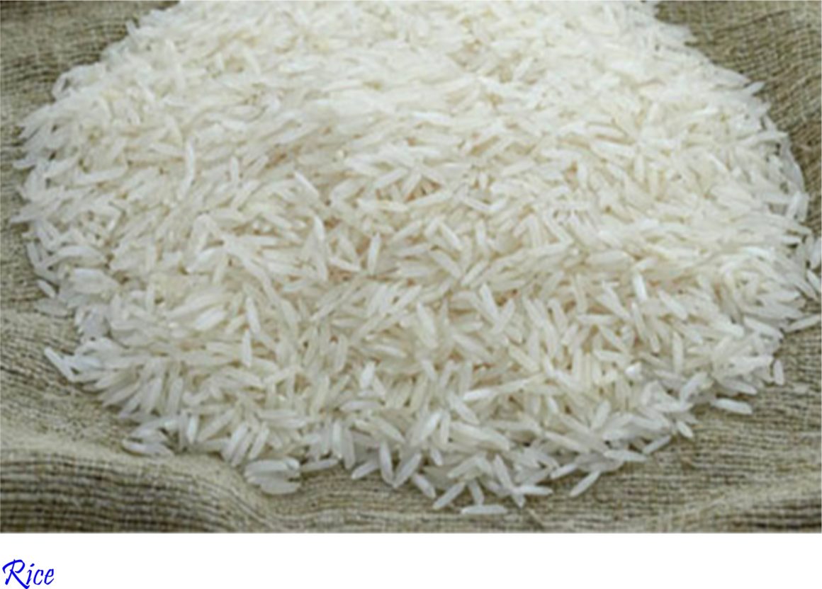 Rice. Imports skyrocket (+86% in 2022). Coldiretti, EU to intervene with MRL regulation