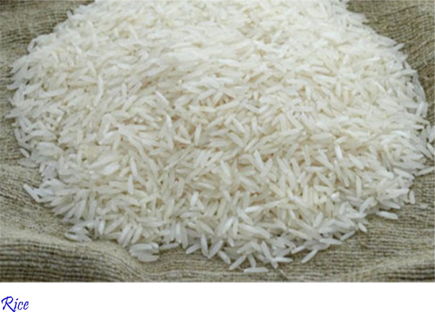 South Korea Rice: Rather than ‘rice market quarantine’ debate…advance ‘supply control and variable direct payment system’ debate