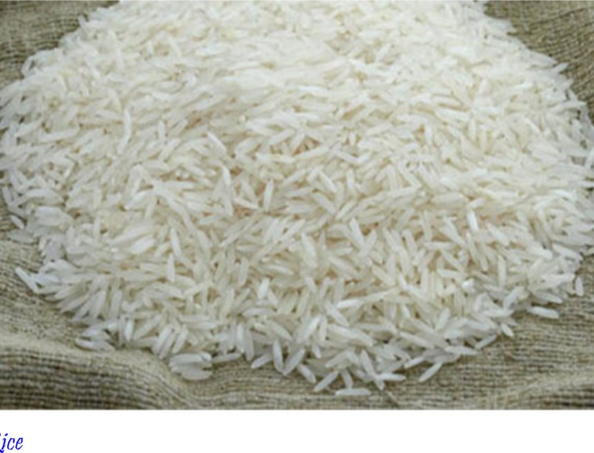 Rice South Korea Rice: Rather than ‘rice market quarantine’ debate…advance ‘supply control and variable direct payment system’ debate
