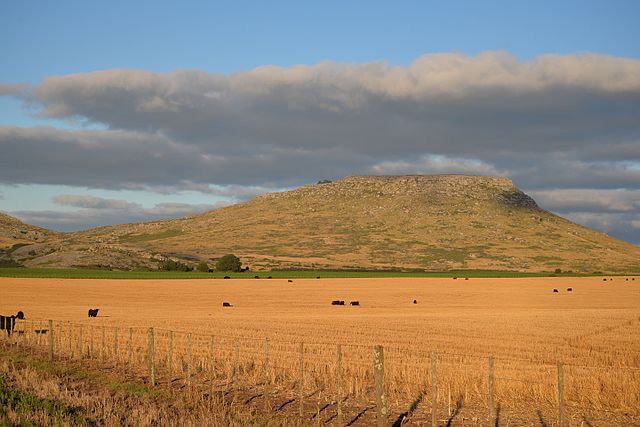 Wheat area in Balcarce, Buenos Aires Argentina wheat: lack of rain puts in check the planting of 10% of the wheat belt in the ‘core area’