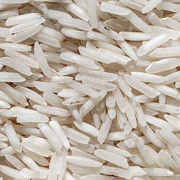 Short-season basmati acreage in India up courtesy firm prices