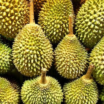Vietnam: Khánh Sơn durian price sets a historic peak