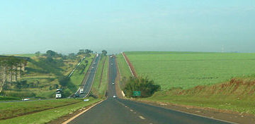 São Paulo agribusiness registers US$ 10 billion surplus in the first half of 2023