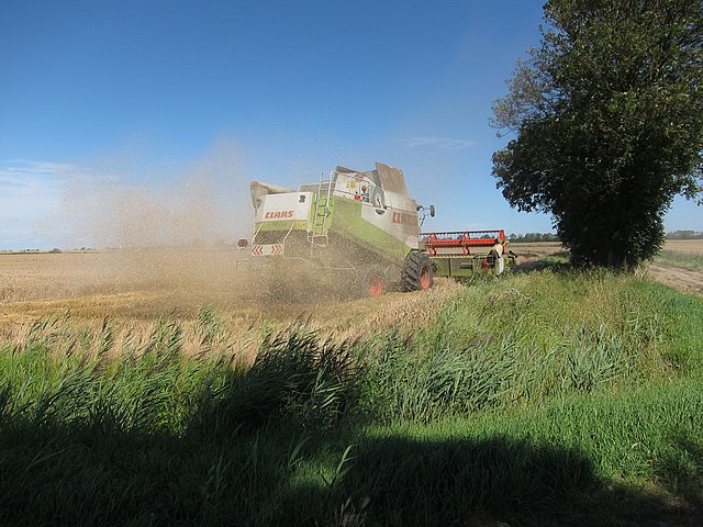 14.986 million tons! Hebei’s summer grain harvest realizes the area, yield & total output “three times”